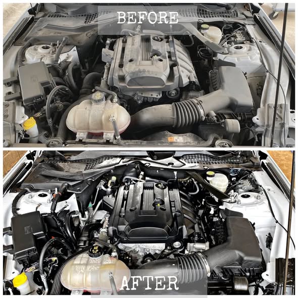 Engine bay before and after detail